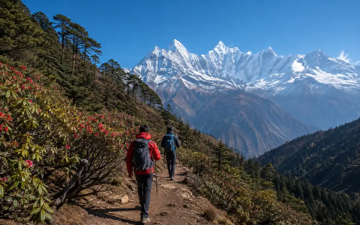Munsiyari: how to get there and when to go – mountain road and travel scenery in Uttarakhand