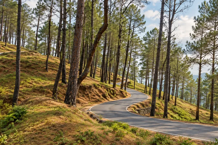 Kathgodam to Ranikhet hill route in Uttarakhand