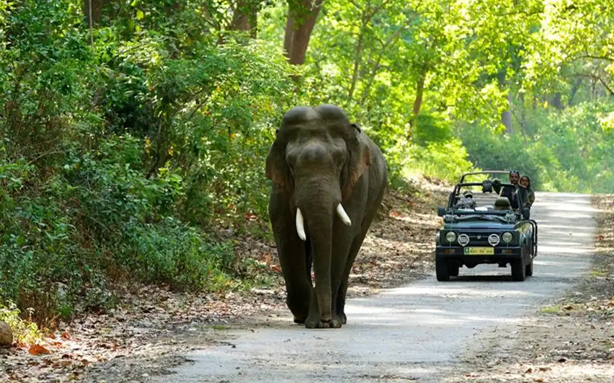 Kathgodam to Jim Corbett by taxi – mountain road and travel scenery in Uttarakhand