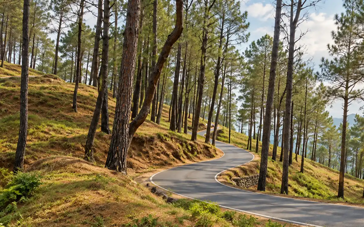 Kathgodam to Ranikhet by taxi – mountain road and travel scenery in Uttarakhand